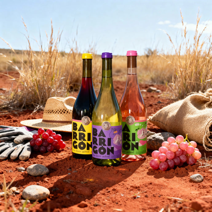 Vinos Barrigones: libertad y frescura desde El Marqués, Querétaro