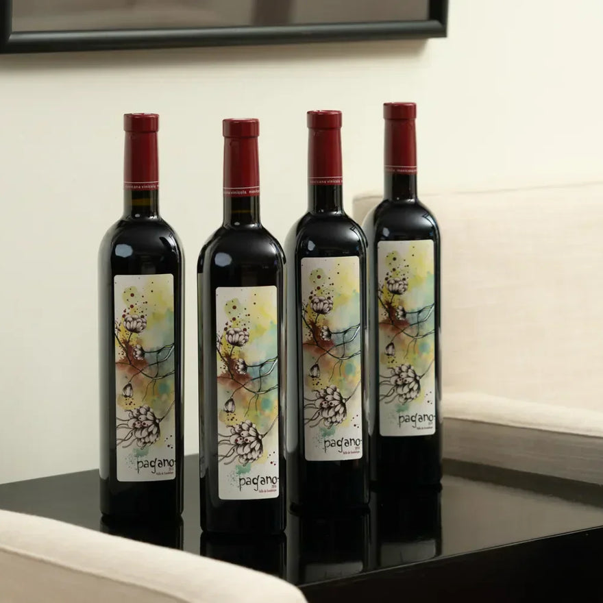 La Lomita: Vinos con el Sabor del Valle y el Alma de la Tierra