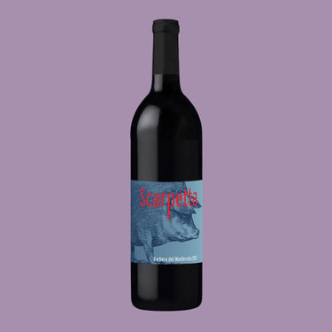 Vino Tinto Scarpetta Barbera de Monferrato 2019 750ml