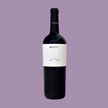 Vino Tinto Mariatinto 2022 750ml